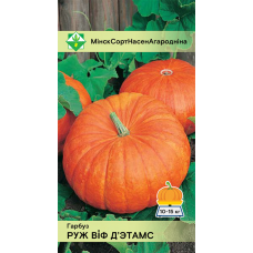 Семена тыквы Руж виф д'Этамс 5шт