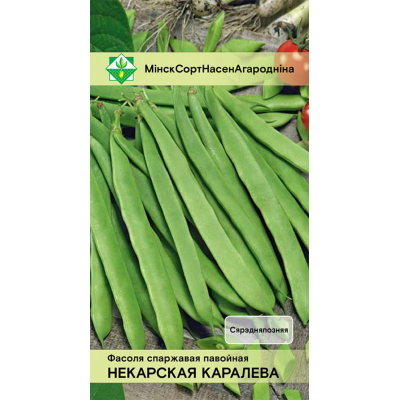 Фасоль спаржевая вьющаяся Некарская королева, 10 семян (Satimex, Германия)