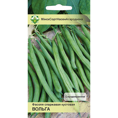Фасоль спаржевая кустовая Ольга, 7г (Satimex, Германия)