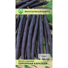 Фасоль спаржевая кустовая Пурпурная королева, 7г (Galassi Sementi , Италия)