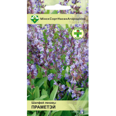 Семена шалфея лекарственного Прометей 0.2г