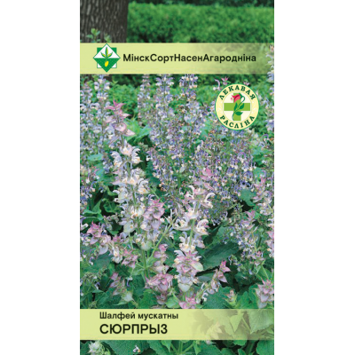 Семена шалфея мускатного Сюрприз 0.2г