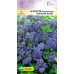 Агератум мексиканский высокорослый Голубой букет 0,15г (Satimex, Германия) Агератум мексиканский высокорослый Голубой букет 0,15г (Satimex, Германия)