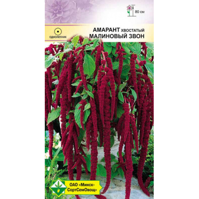 Семена амаранта хвостового Малиновый звон 0.5г