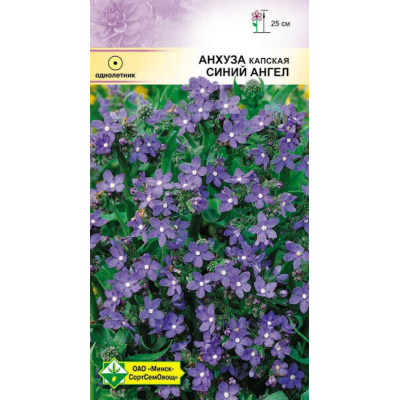 Семена анхузы капской Синий ангел 0.2г