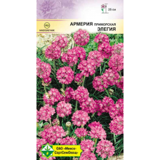 Семена армерии приморской Элегия 0.1г