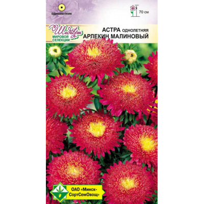 Семена астры Арлекин Малиновый 0.2г