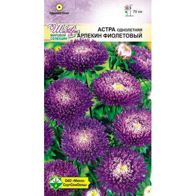 Семена астры Арлекин Фиолетовый 0.2г