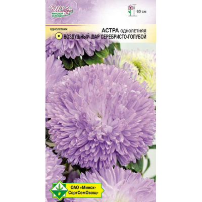 Семена астры Воздушный шар Серебристо-голубой 0.1г