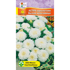Семена астры Карликовая Белая красавица 0.3г
