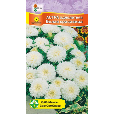 Семена астры Карликовая Белая красавица 0.3г
