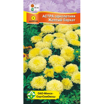Семена астры Карликовая Желтый бархат 0.3г