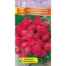 Семена астры Карликовая Огненный шар 0.3г