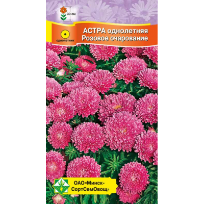 Семена астры Карликовая Розовое очарование 0.3г