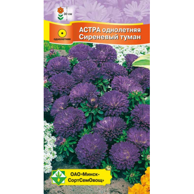 Семена астры Карликовая Сиреневый туман 0.3г