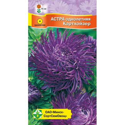 Семена астры Краллен Картхойзер 0.3г