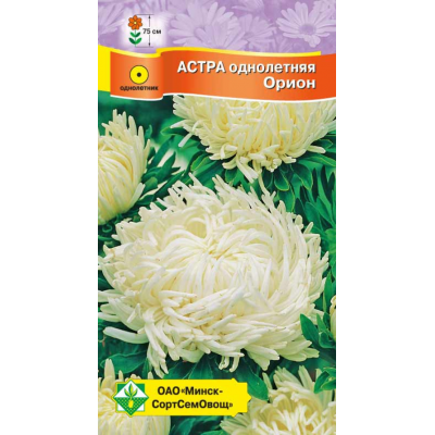 Семена астры Краллен Орион 0.3г