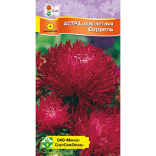 Семена астры Краллен Соррель 0.3г