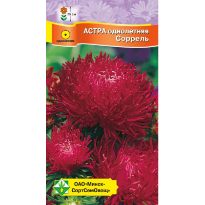 Семена астры Краллен Соррель 0.3г