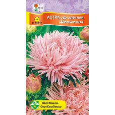 Семена астры Краллен Шиншилла 0.3г