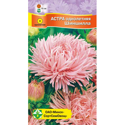 Семена астры Краллен Шиншилла 0.3г
