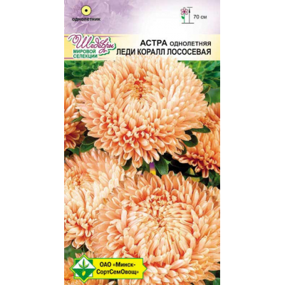 Семена астры Леди Коралл Лососевая 0.1г