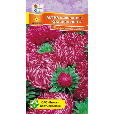 Астра карликовая китайская Красная лента 0,1г (Satimex, Германия)