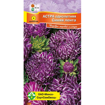 Астра карликовая китайская Синяя лента 0,1г (Satimex, Германия)