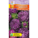 Астра карликовая китайская Синяя лента 0,1г (Satimex, Германия) Астра карликовая китайская Синяя лента 0,1г (Satimex, Германия)