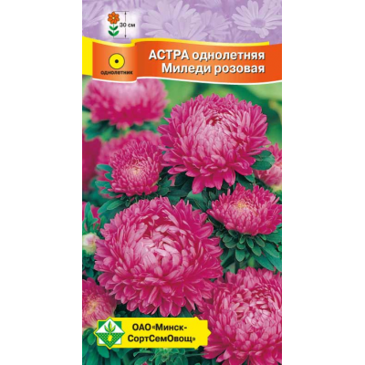 Семена астры Миледи Розовая 0.15г