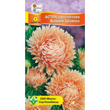 Семена астры Пионовидная Башня Шамоа 0.3г