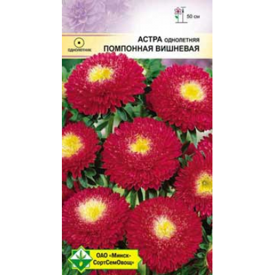 Семена астры Помпонная Вишневая 0.3г