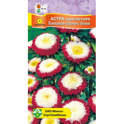 Семена астры Помпонная Красная с белым 0.3г