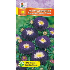 Семена астры Помпонная Синяя с белым 0.3г