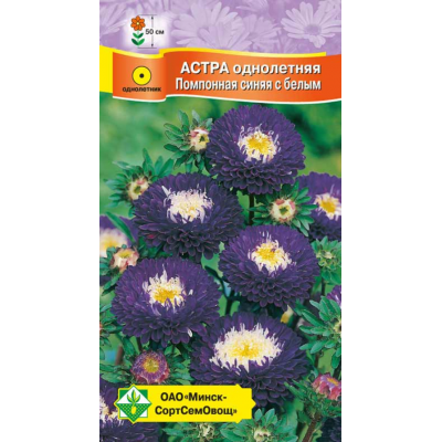 Семена астры Помпонная Синяя с белым 0.3г