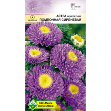 Семена астры Помпонная Сиреневая 0.3г