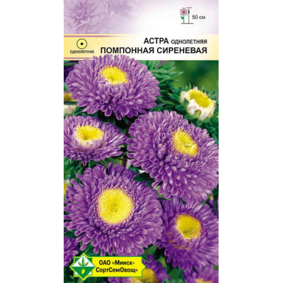 Семена астры Помпонная Сиреневая 0.3г