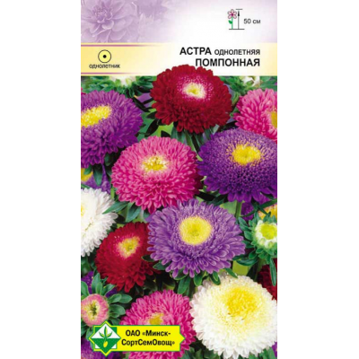 Семена астры Помпонная см 0.3г