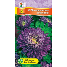 Астра срезочная Принцесса Вероника фиолетово-синяя 0,3г (Satimex, Германия)