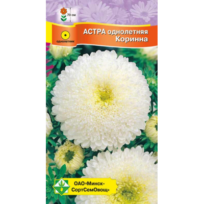 Астра срезочная Принцесса Корина кремово-белая 0,3г (Satimex, Германия)