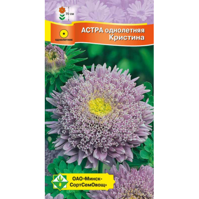 Астра срезочная Принцесса Кристина лавандово-синяя 0,3г (Satimex, Германия)