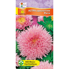Астра срезочная Принцесса Рита серебристо-розовая 0,3г (Satimex, Германия)