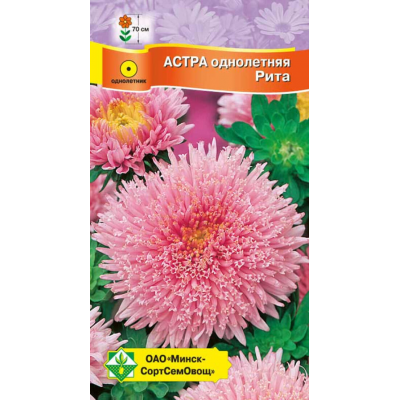 Астра срезочная Принцесса Рита серебристо-розовая 0,3г (Satimex, Германия)