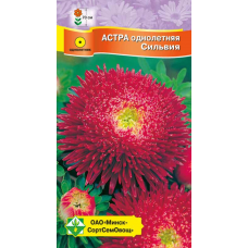 Астра срезочная Принцесса Сильвия темно-малиновая 0,3г (Satimex, Германия)