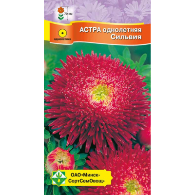 Астра срезочная Принцесса Сильвия темно-малиновая 0,3г (Satimex, Германия)