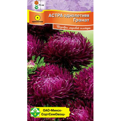 Семена астры Ювелирная Гранат 0.15г