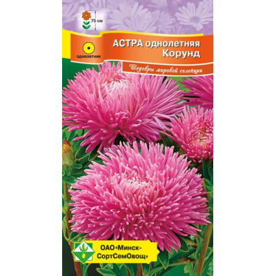 Семена астры Ювелирная Корунд 0.15г