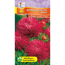 Семена астры Ювелирная Опал 0.15г