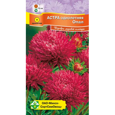 Семена астры Ювелирная Опал 0.15г