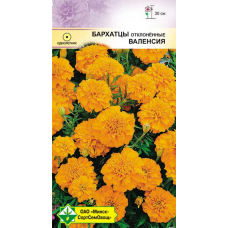 Семена бархатцев отклонённых Валенсия 0.5г